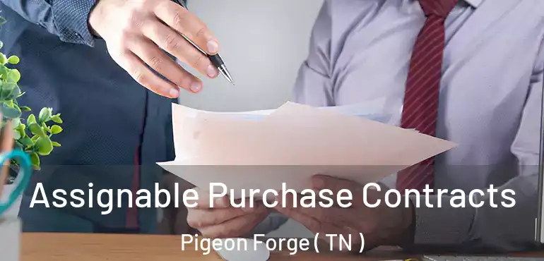  Assignable Purchase Contracts Pigeon Forge ( TN )