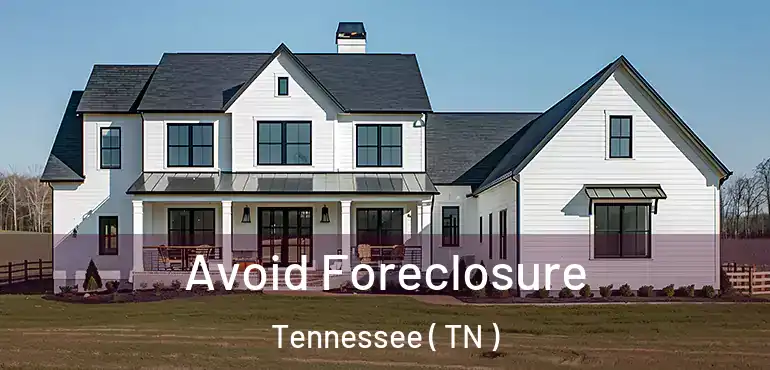  Avoid Foreclosure Tennessee ( TN )