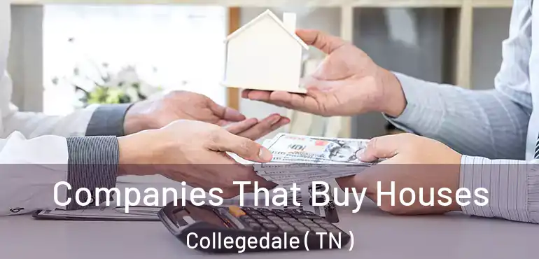  Companies That Buy Houses Collegedale ( TN )