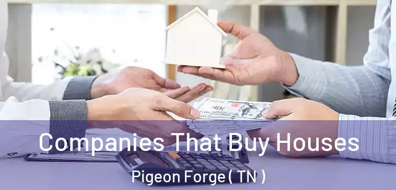  Companies That Buy Houses Pigeon Forge ( TN )