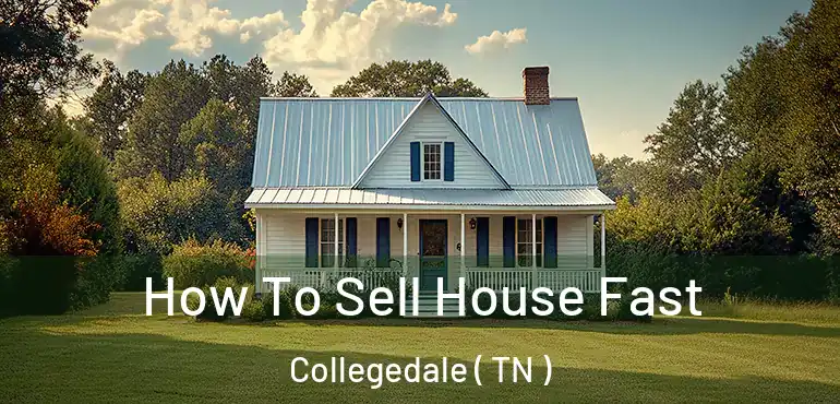  How To Sell House Fast Collegedale ( TN )