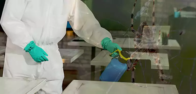 Why Buyers Still Want Homes With Pest Infestations in Tennessee, TN?