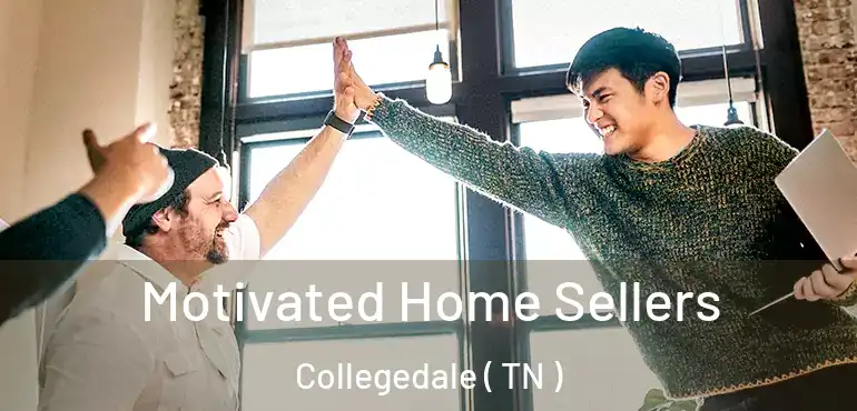  Motivated Home Sellers Collegedale ( TN )