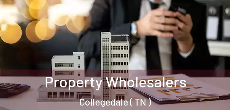  Property Wholesalers Collegedale ( TN )