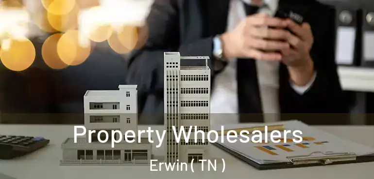  Property Wholesalers Erwin ( TN )