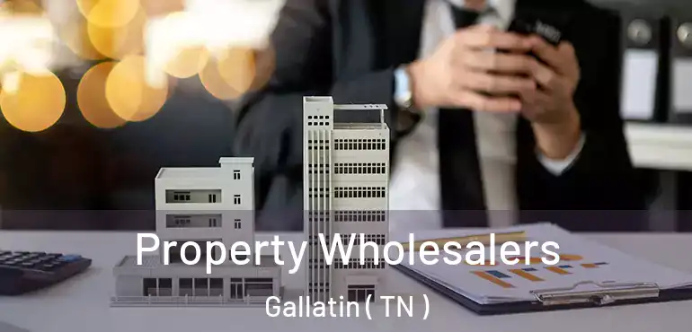  Property Wholesalers Gallatin ( TN )