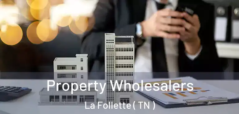  Property Wholesalers La Follette ( TN )