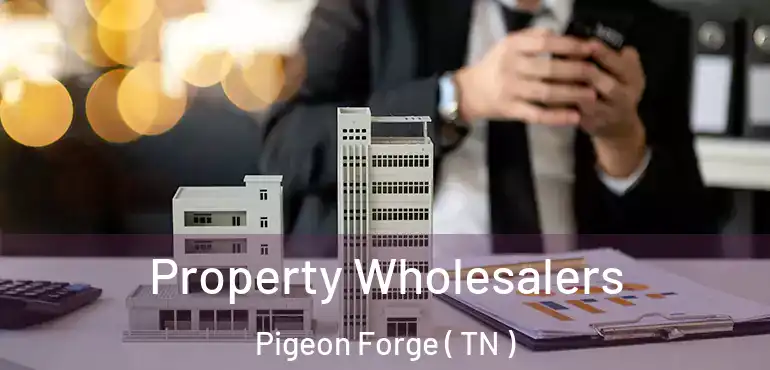  Property Wholesalers Pigeon Forge ( TN )
