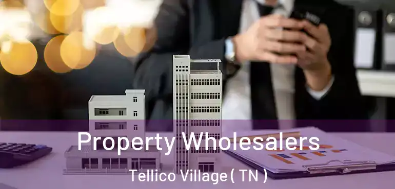  Property Wholesalers Tellico Village ( TN )