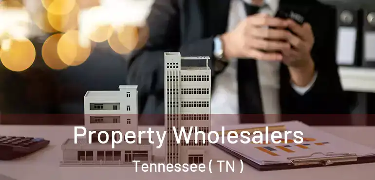  Property Wholesalers Tennessee ( TN )