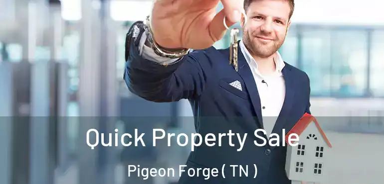  Quick Property Sale Pigeon Forge ( TN )