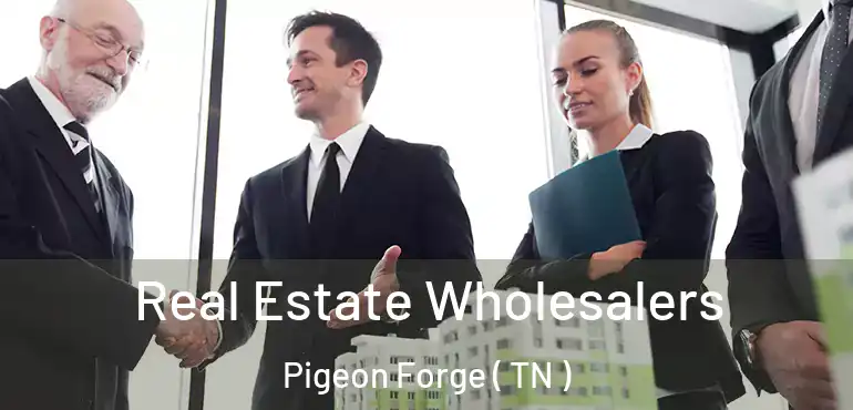  Real Estate Wholesalers Pigeon Forge ( TN )