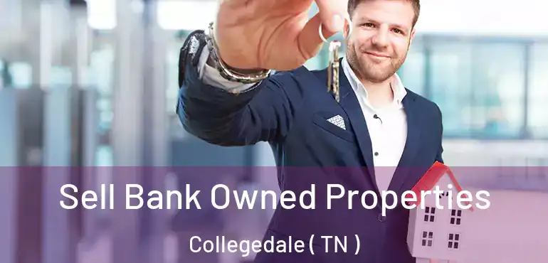  Sell Bank Owned Properties Collegedale ( TN )