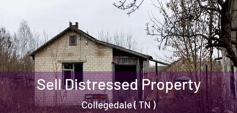  Sell Distressed Property Collegedale ( TN )