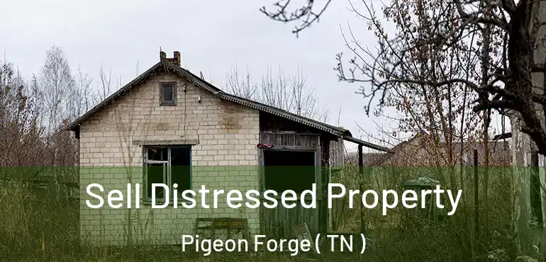  Sell Distressed Property Pigeon Forge ( TN )