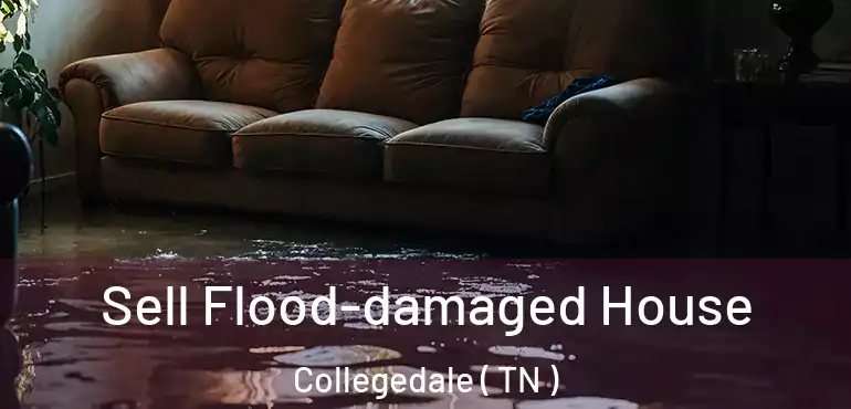  Sell Flood-damaged House Collegedale ( TN )