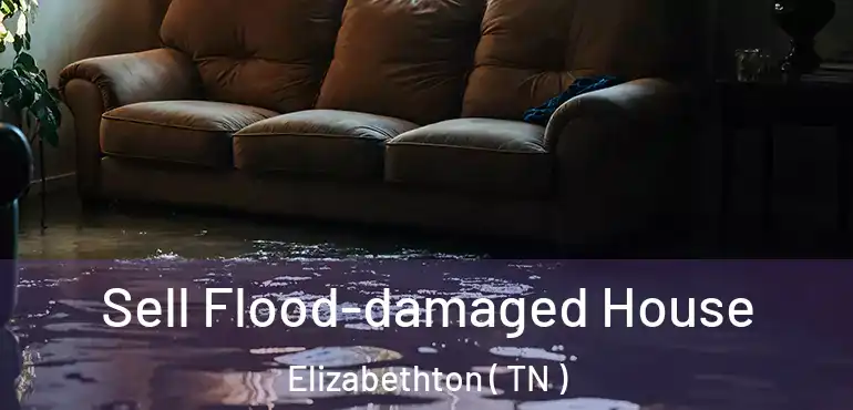  Sell Flood-damaged House Elizabethton ( TN )