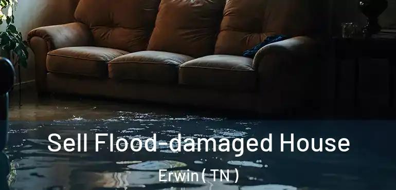  Sell Flood-damaged House Erwin ( TN )