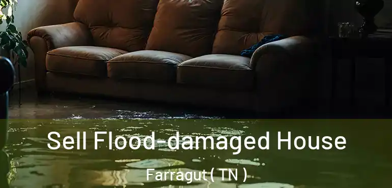  Sell Flood-damaged House Farragut ( TN )