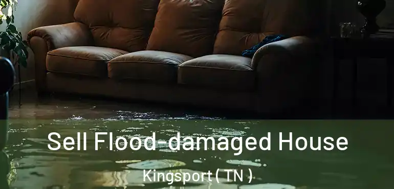  Sell Flood-damaged House Kingsport ( TN )