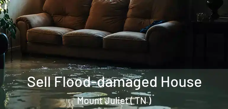  Sell Flood-damaged House Mount Juliet ( TN )