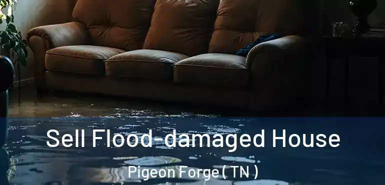  Sell Flood-damaged House Pigeon Forge ( TN )