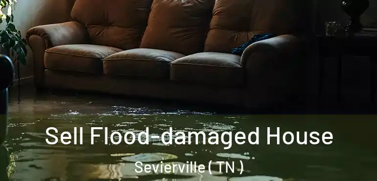  Sell Flood-damaged House Sevierville ( TN )
