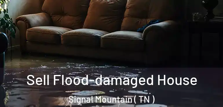  Sell Flood-damaged House Signal Mountain ( TN )