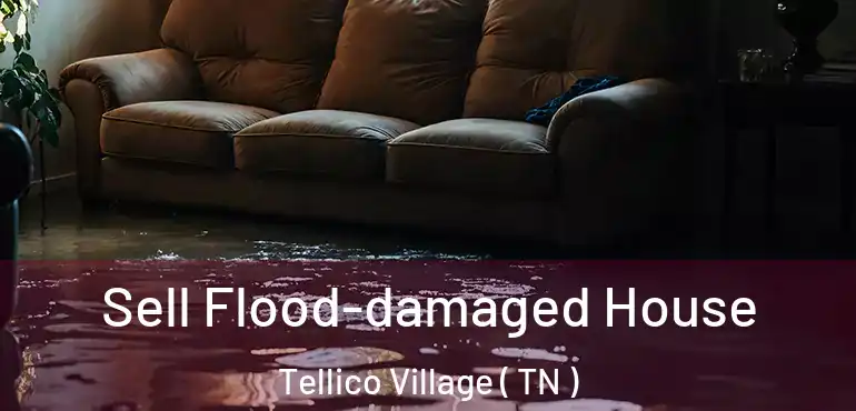 Sell Flood-damaged House Tellico Village ( TN )