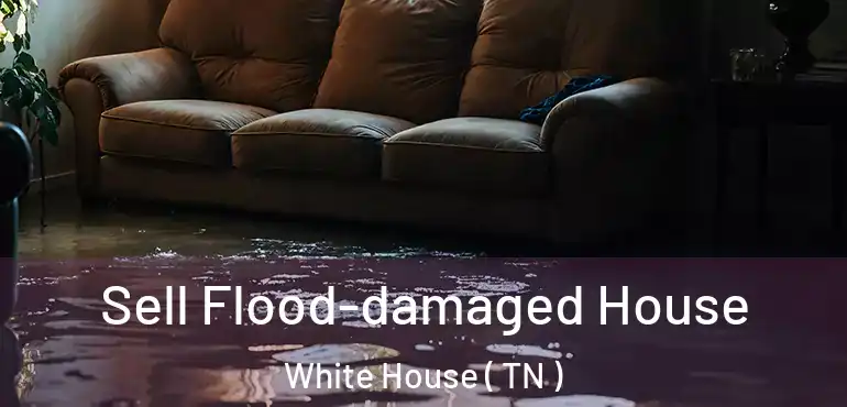  Sell Flood-damaged House White House ( TN )