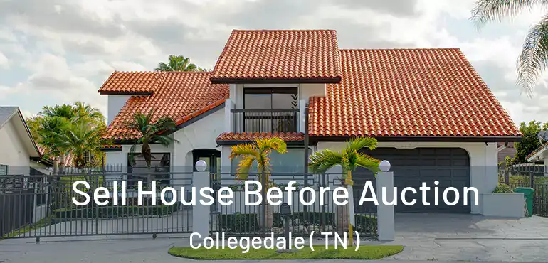  Sell House Before Auction Collegedale ( TN )