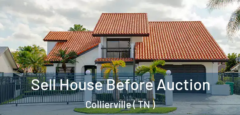 Sell House Before Auction Collierville ( TN )