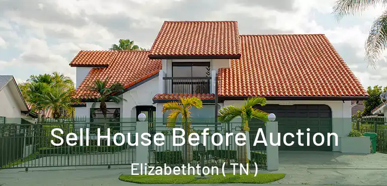  Sell House Before Auction Elizabethton ( TN )