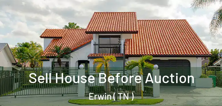  Sell House Before Auction Erwin ( TN )