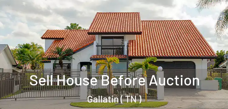  Sell House Before Auction Gallatin ( TN )