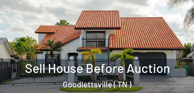 Sell House Before Auction Goodlettsville ( TN )