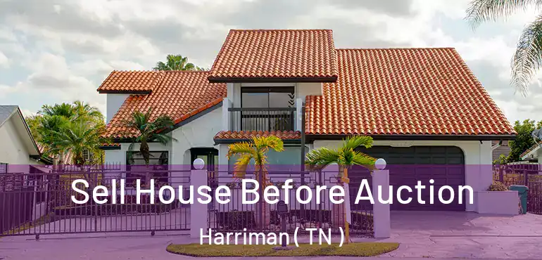  Sell House Before Auction Harriman ( TN )