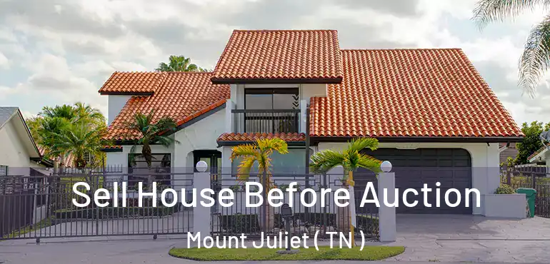  Sell House Before Auction Mount Juliet ( TN )