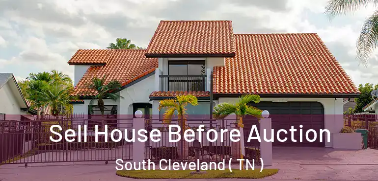  Sell House Before Auction South Cleveland ( TN )