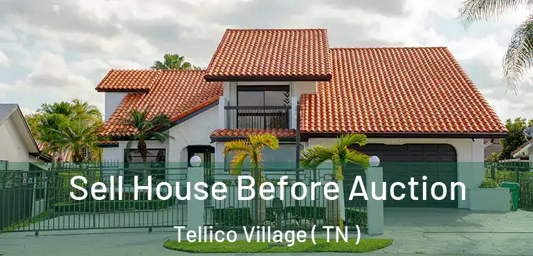  Sell House Before Auction Tellico Village ( TN )