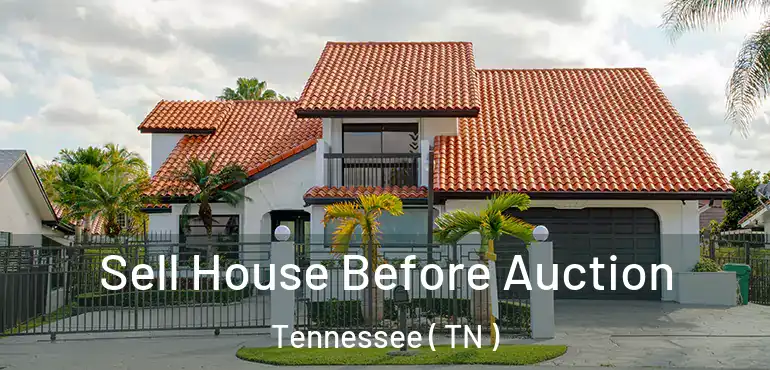  Sell House Before Auction Tennessee ( TN )
