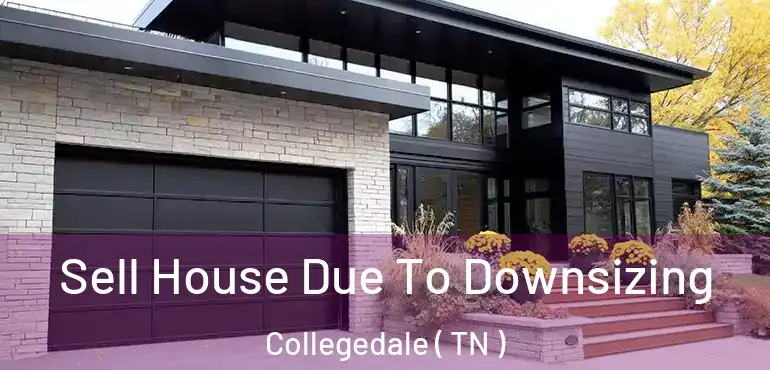  Sell House Due To Downsizing Collegedale ( TN )