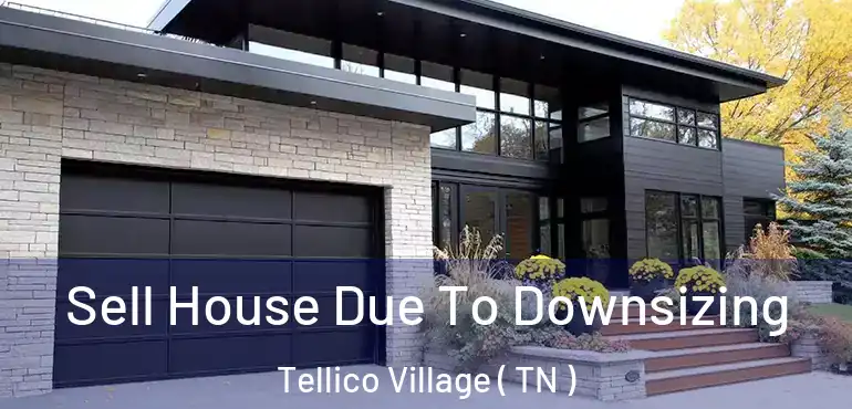  Sell House Due To Downsizing Tellico Village ( TN )