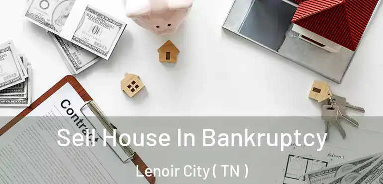  Sell House In Bankruptcy Lenoir City ( TN )