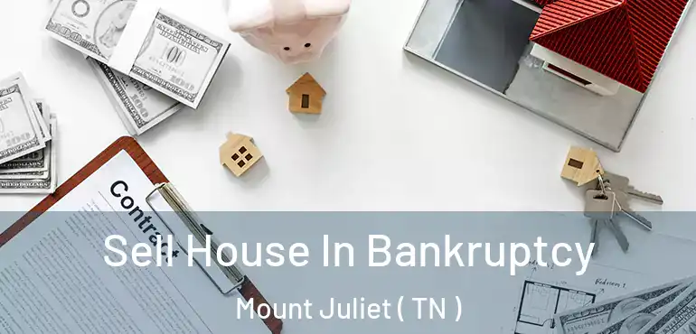  Sell House In Bankruptcy Mount Juliet ( TN )