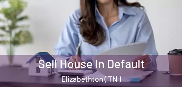  Sell House In Default Elizabethton ( TN )