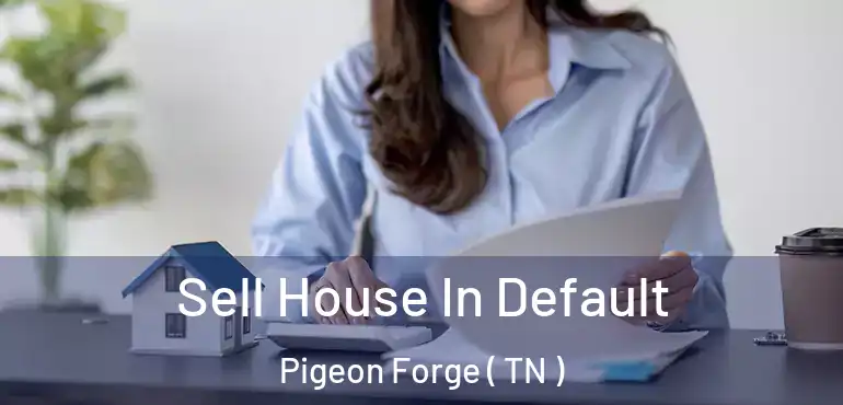  Sell House In Default Pigeon Forge ( TN )