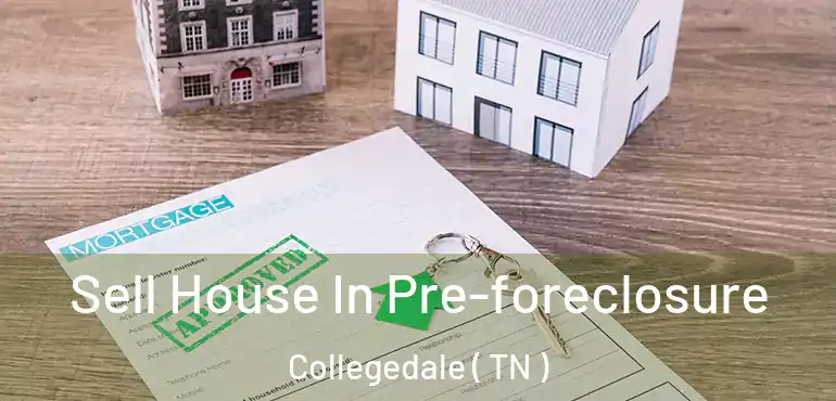  Sell House In Pre-foreclosure Collegedale ( TN )