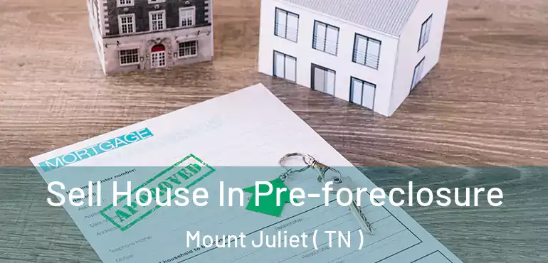  Sell House In Pre-foreclosure Mount Juliet ( TN )