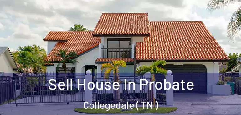  Sell House In Probate Collegedale ( TN )
